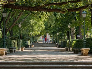 Jardin Botanico Madrid